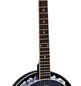 6-strängad banjo